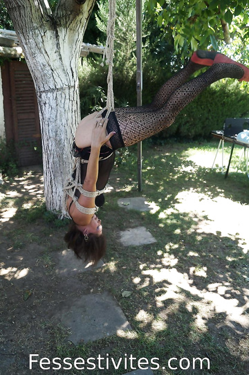 Shibari suspension