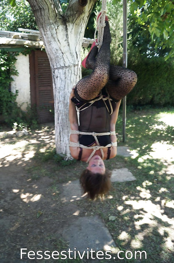 Shibari suspension