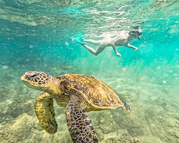 These are our favorite pictures from our vacation. Snorkeling naked with all the sea life was so memorable!