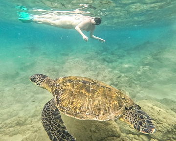 These are our favorite pictures from our vacation. Snorkeling naked with all the sea life was so memorable!
