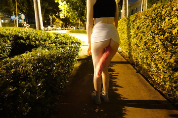 Tapón anal con cola en público