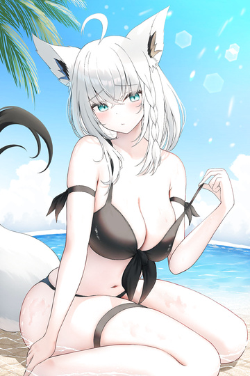 Summer Fubuki