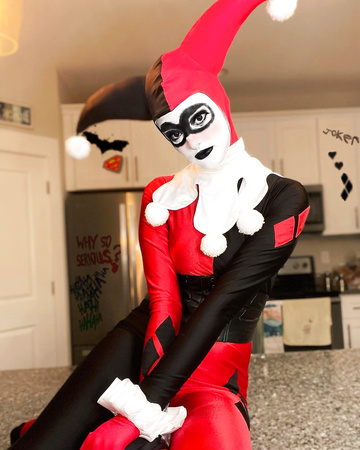 Mein Harley Quinn Cosplay