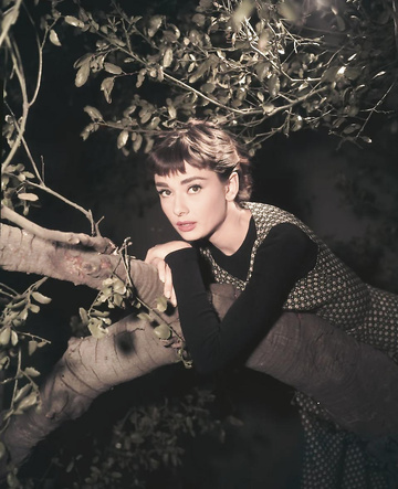 Audrey Hepburn