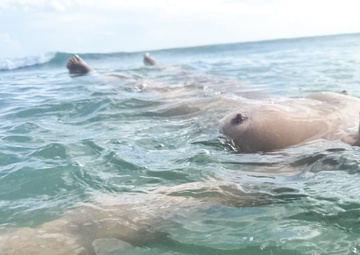 Wir lieben es, nackt zu sein, und Blind Creek Beach ist für uns der beste und sicherste Ort in Florida. Ich hoffe, wir sehen uns dort eines Tages